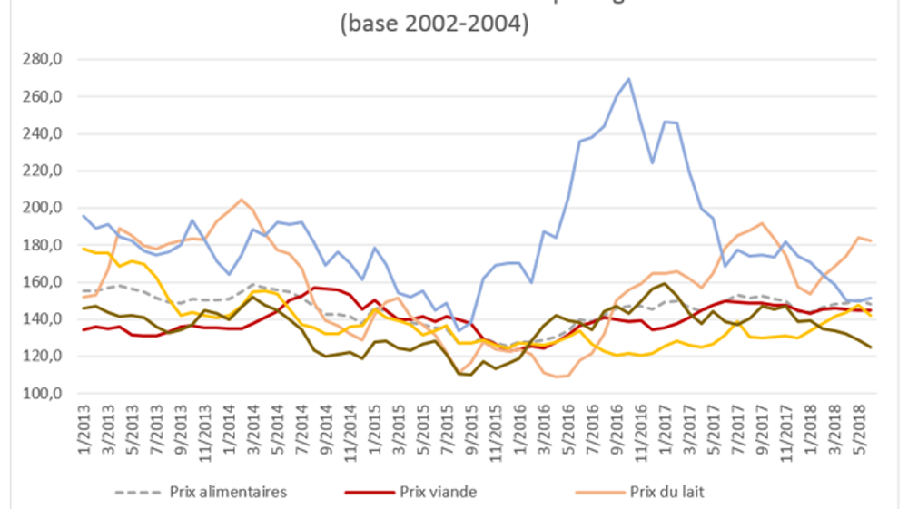 Évolution indicielle des prix agricoles source FAO : les huiles végétales plongent. © I. Logvenoff/FAO